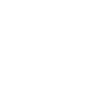 Build Grow Scale